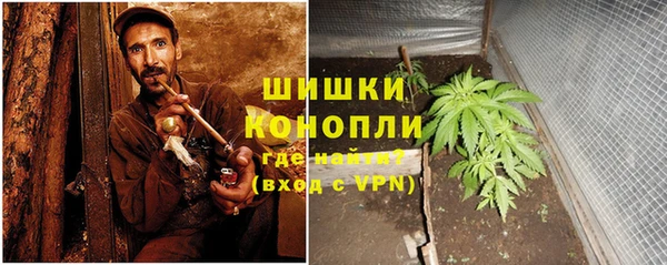 хмурый Арсеньев